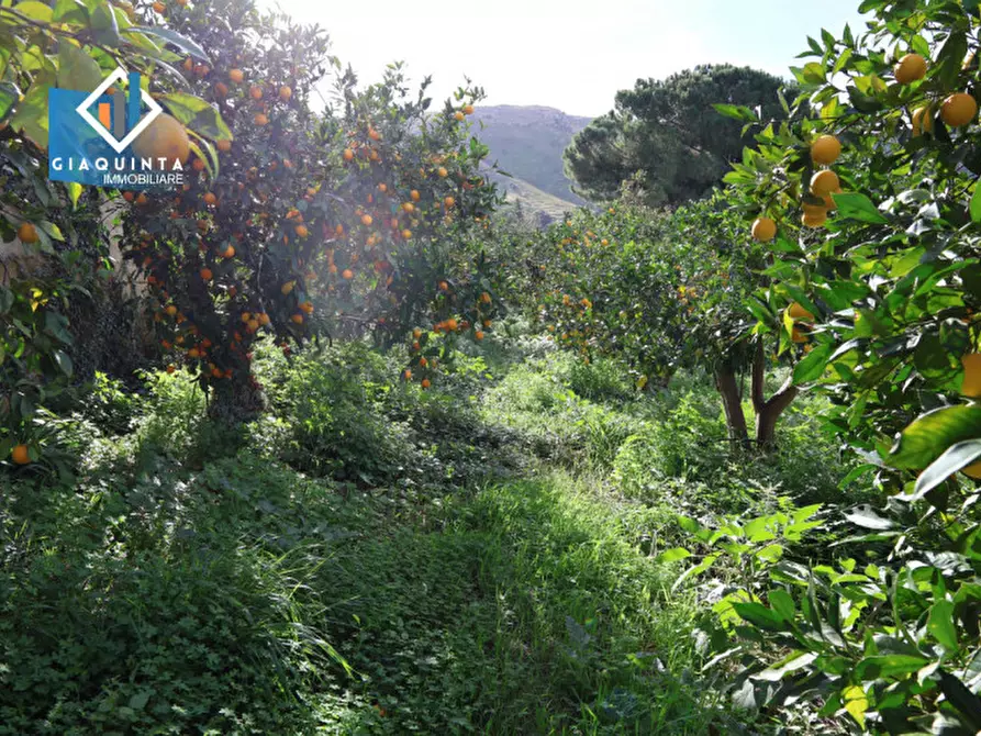 Immagine 17 di Terreno in vendita  in C.da Tre Fontane a Palagonia