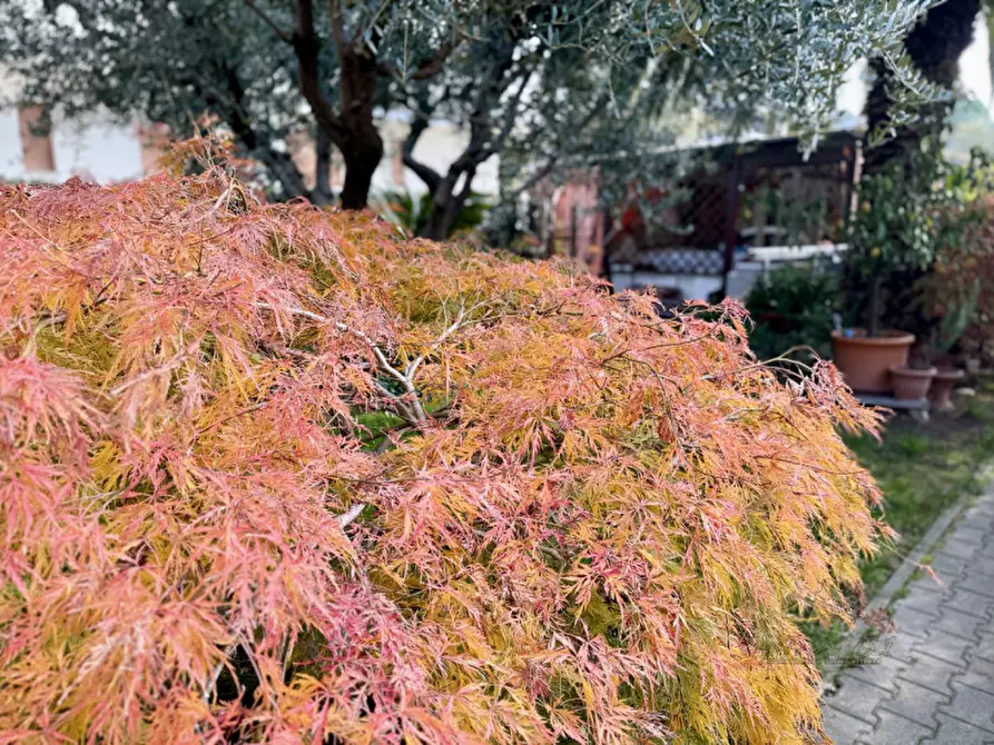 Immagine 1 di Villetta a schiera in vendita  in Via Asti, 23 a Lignano Sabbiadoro