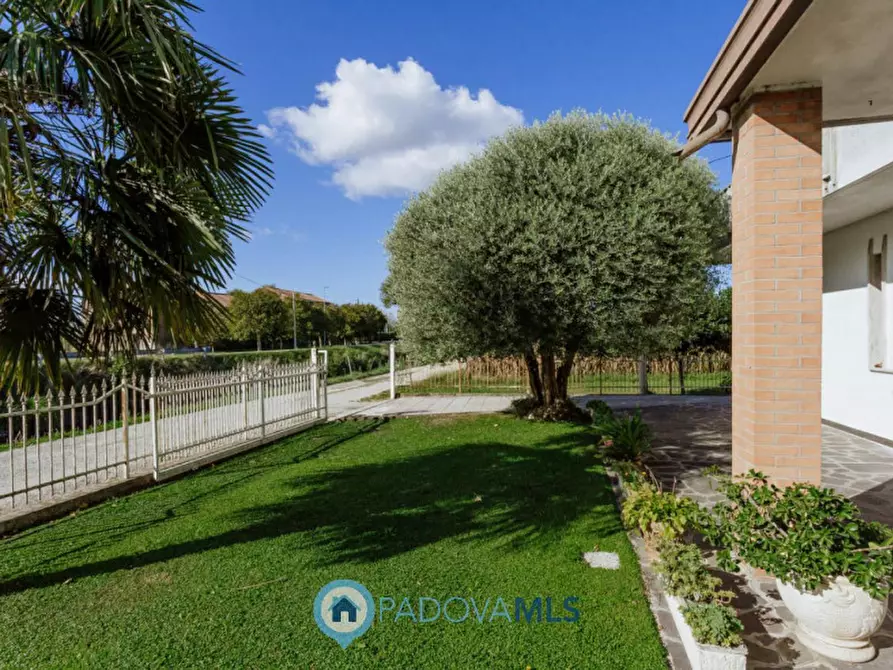 Immagine 25 di Casa indipendente in vendita  in Via Cimitero a Agna