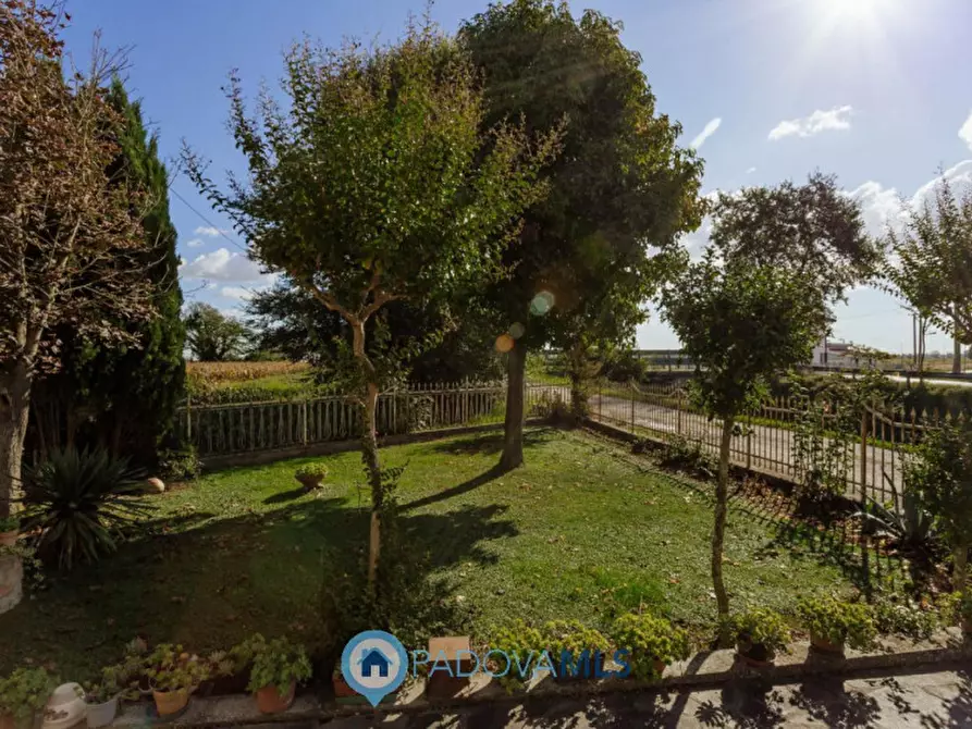 Immagine 26 di Casa indipendente in vendita  in Via Cimitero a Agna