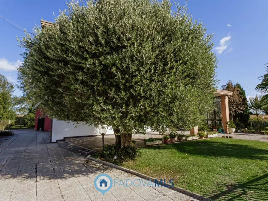 Immagine 27 di Casa indipendente in vendita  in Via Cimitero a Agna