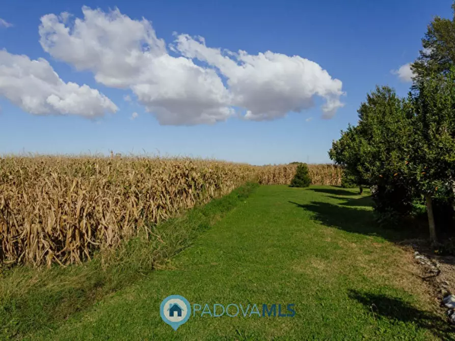 Immagine 29 di Casa indipendente in vendita  in Via Cimitero a Agna