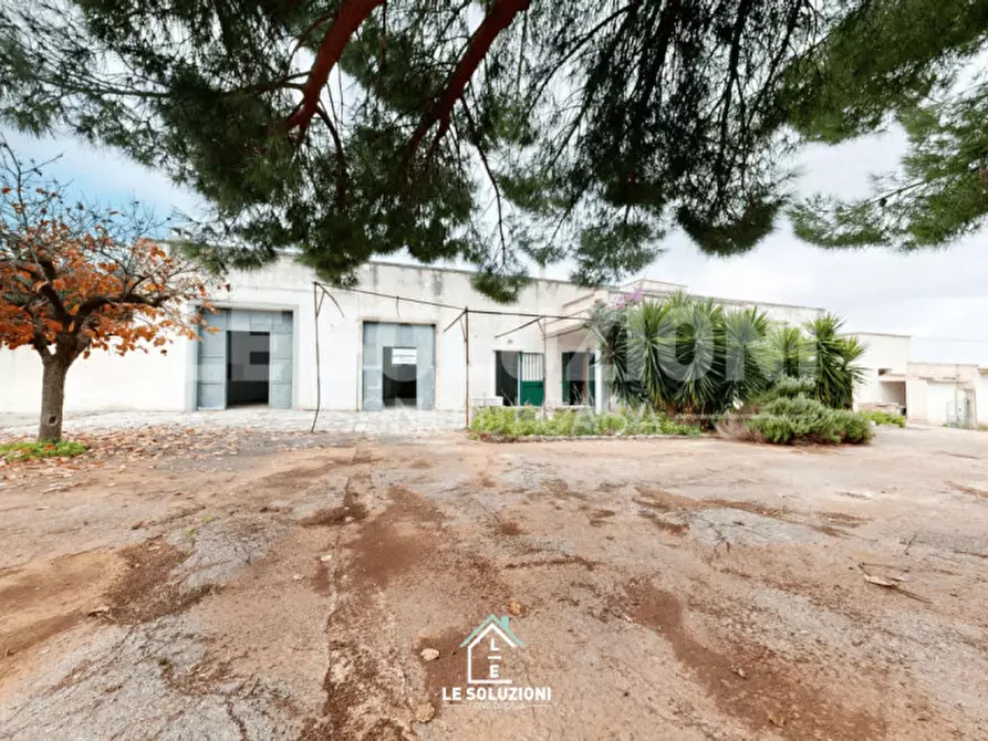 Immagine 13 di Villa in vendita  in Strada Comunale monterosso 83 a Conversano