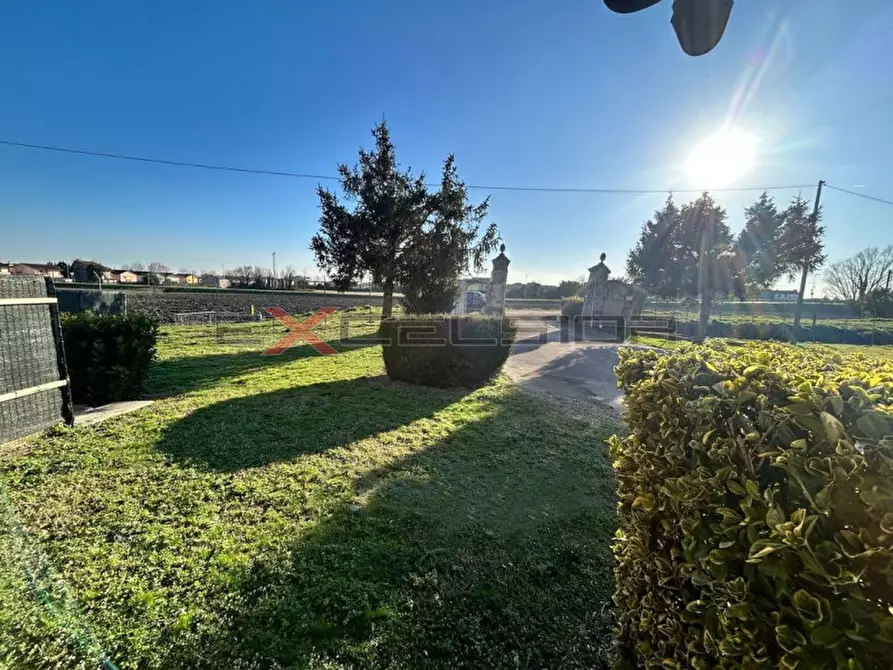 Immagine 8 di Casa indipendente in vendita  a Loreo