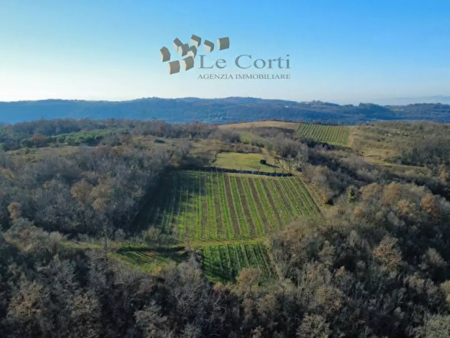 Immagine 2 di Terreno in vendita  a Val Liona