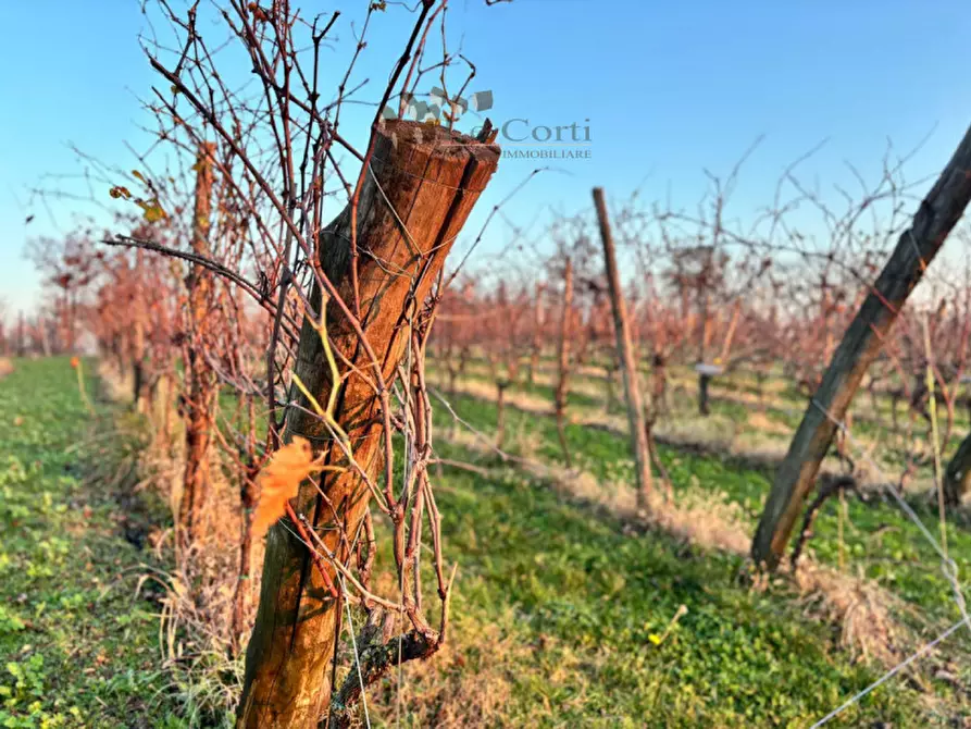 Immagine 3 di Terreno in vendita  a Val Liona