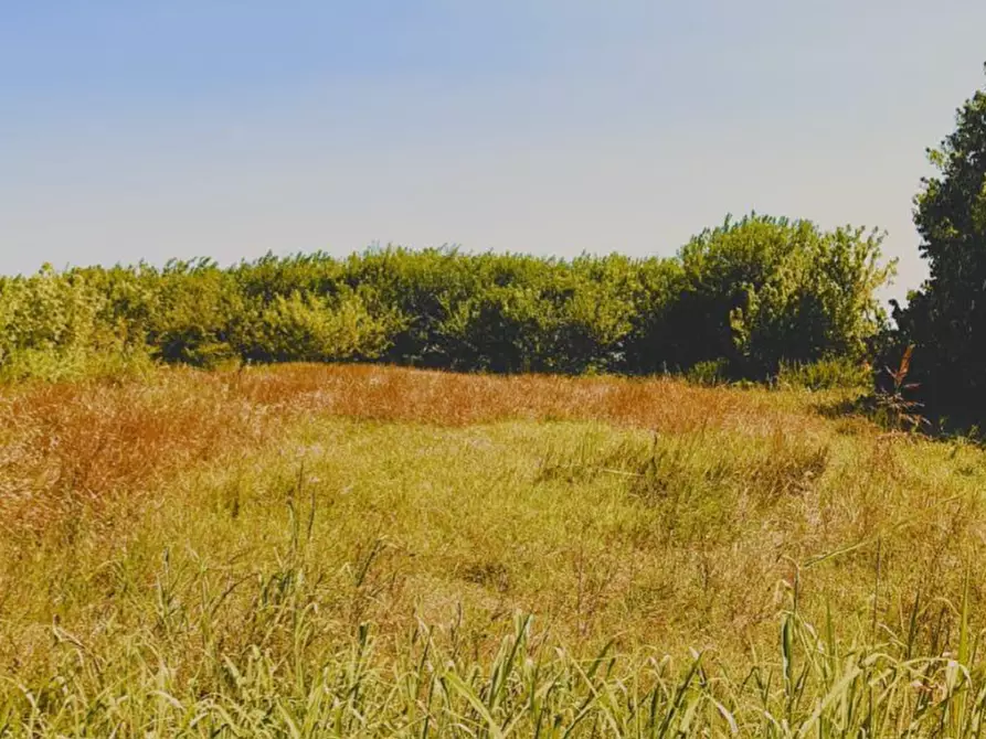 Immagine 1 di Terreno in vendita  in Via Lova a Campolongo Maggiore
