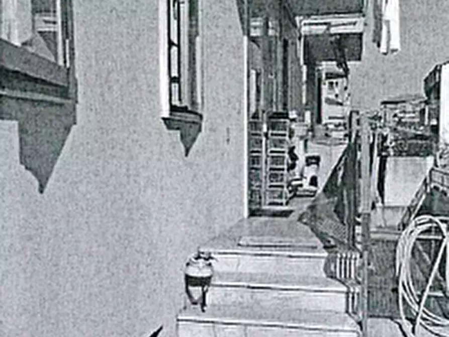 Immagine 3 di Appartamento in vendita  in Via Bembo, 27 a Chioggia