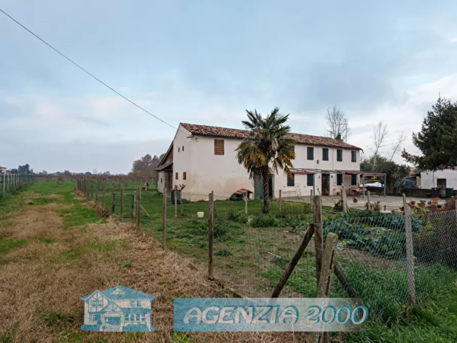 Immagine 30 di Rustico / casale in vendita  in Via Casette 29 a Tribano