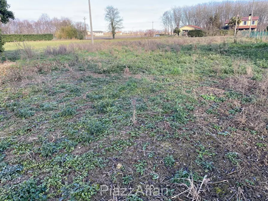 Immagine 15 di Casa indipendente in vendita  in Brugine a Brugine
