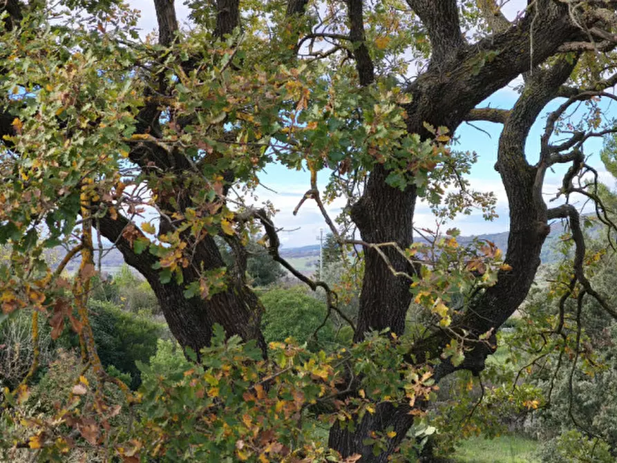 Immagine 9 di Villetta a schiera in vendita  in Canale di Pirro a Fasano