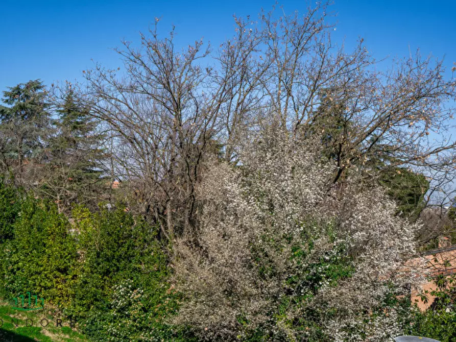 Immagine 58 di Villa in vendita  in via martiri di pizzocalvo 109 a San Lazzaro Di Savena