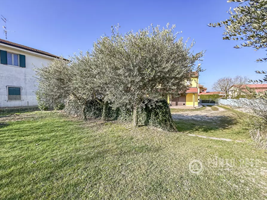 Immagine 6 di Casa bifamiliare in vendita  in Via Ponzilovo a Zevio