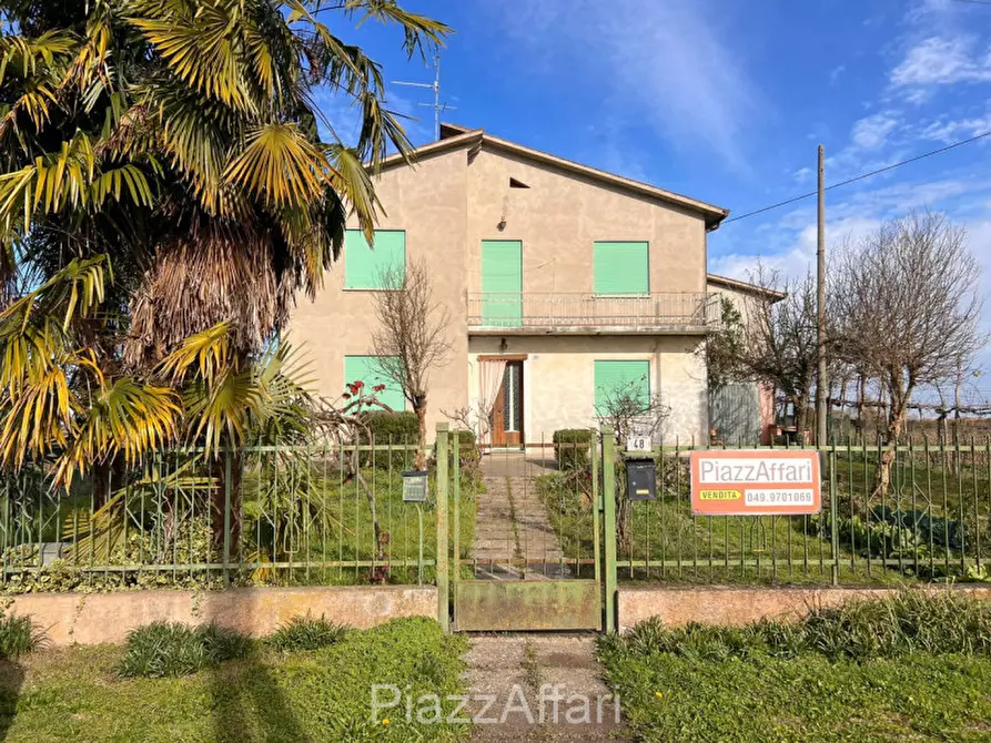 Immagine 19 di Casa indipendente in vendita  in Via Arzerini a Brugine
