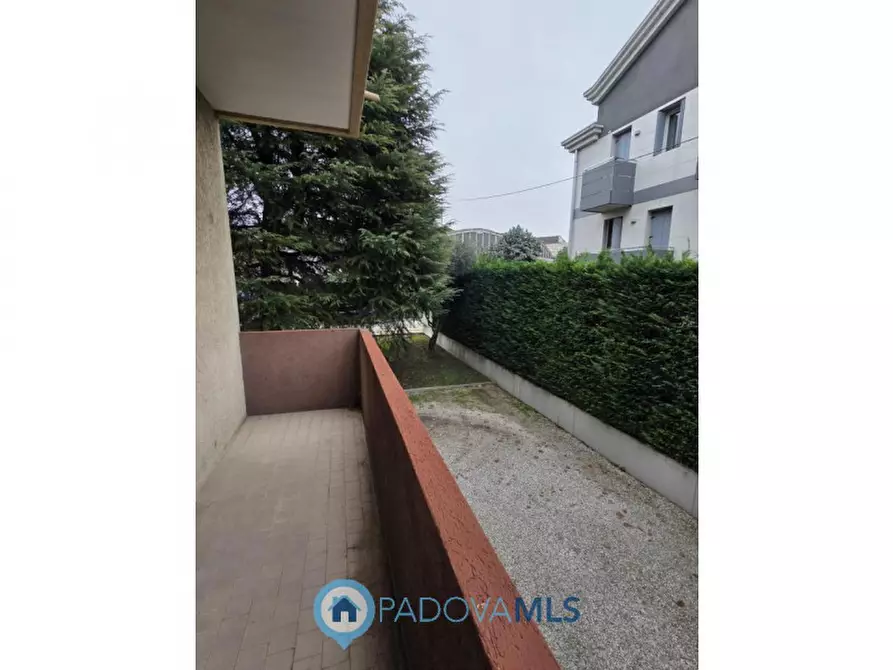 Immagine 9 di Appartamento in vendita  in Via Francesco Petrarca 13 a Noventa Padovana