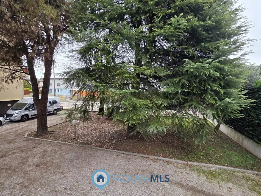Immagine 10 di Appartamento in vendita  in Via Francesco Petrarca 13 a Noventa Padovana