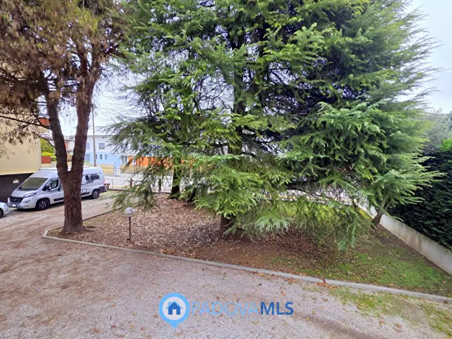 Immagine 13 di Appartamento in vendita  in Via Francesco Petrarca a Noventa Padovana