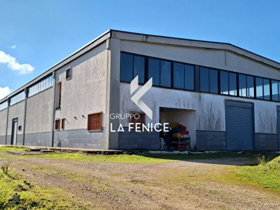 Immagine 3 di Capannone industriale in vendita  in contrada Coreggia a Alberobello
