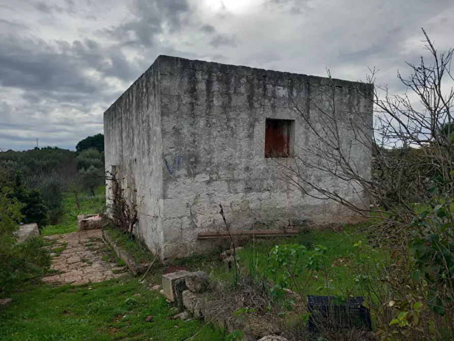 Immagine 2 di Rustico / casale in vendita  in C.da Le Monache a Ceglie Messapico