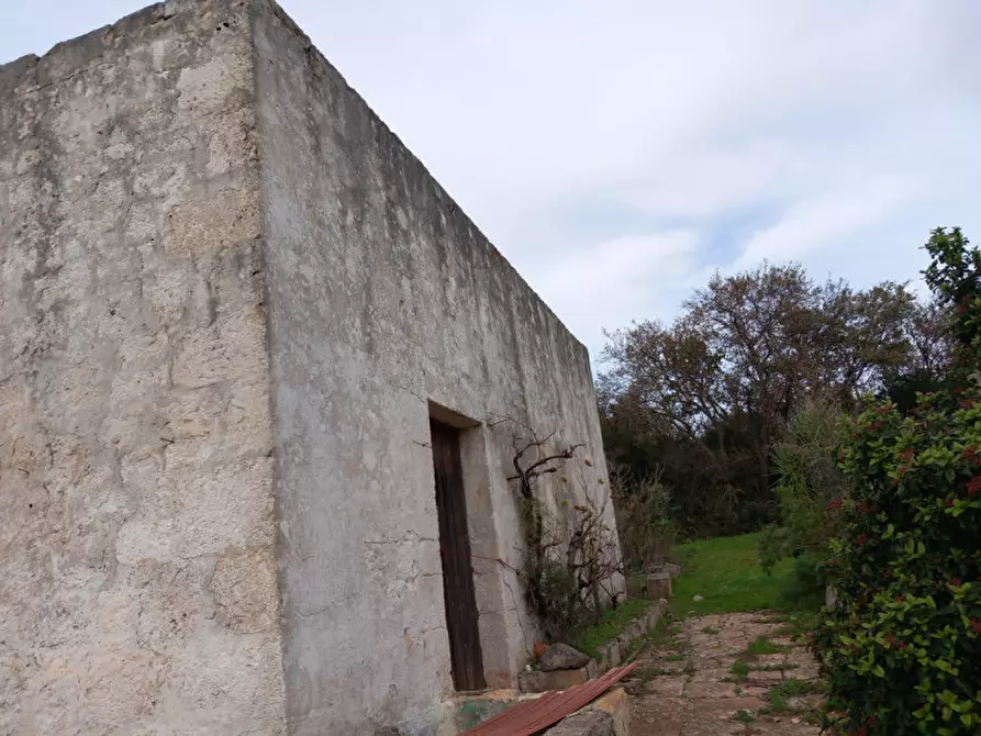 Immagine 4 di Rustico / casale in vendita  in C.da Le Monache a Ceglie Messapico