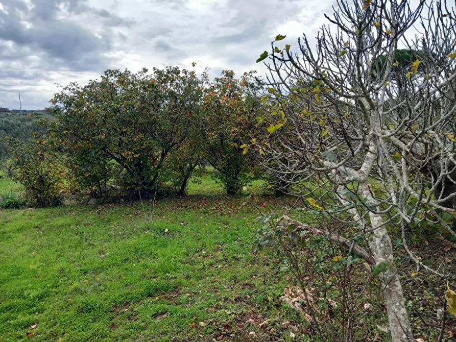 Immagine 7 di Rustico / casale in vendita  in C.da Le Monache a Ceglie Messapico