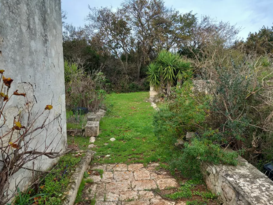 Immagine 19 di Rustico / casale in vendita  in C.da Le Monache a Ceglie Messapico