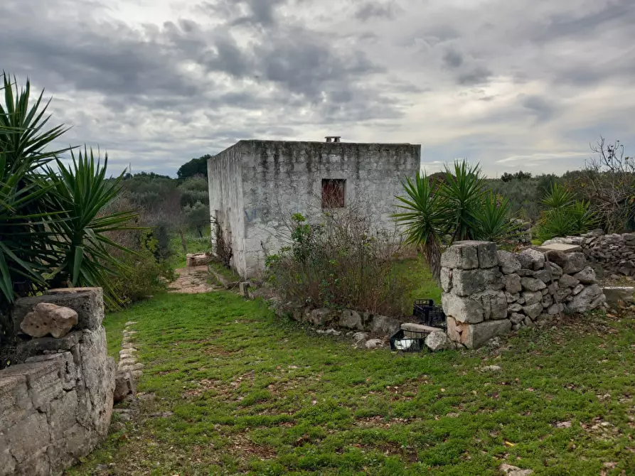 Immagine 21 di Rustico / casale in vendita  in C.da Le Monache a Ceglie Messapico
