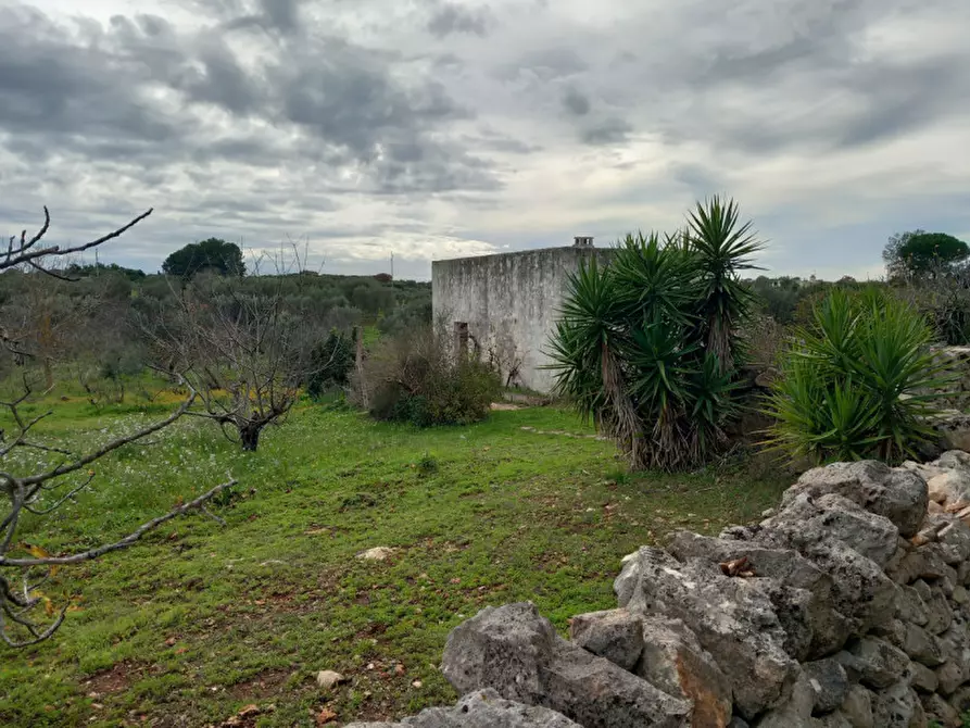 Immagine 22 di Rustico / casale in vendita  in C.da Le Monache a Ceglie Messapico