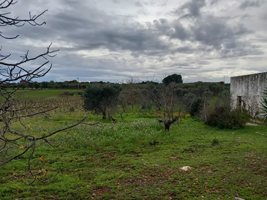 Immagine 23 di Rustico / casale in vendita  in C.da Le Monache a Ceglie Messapico