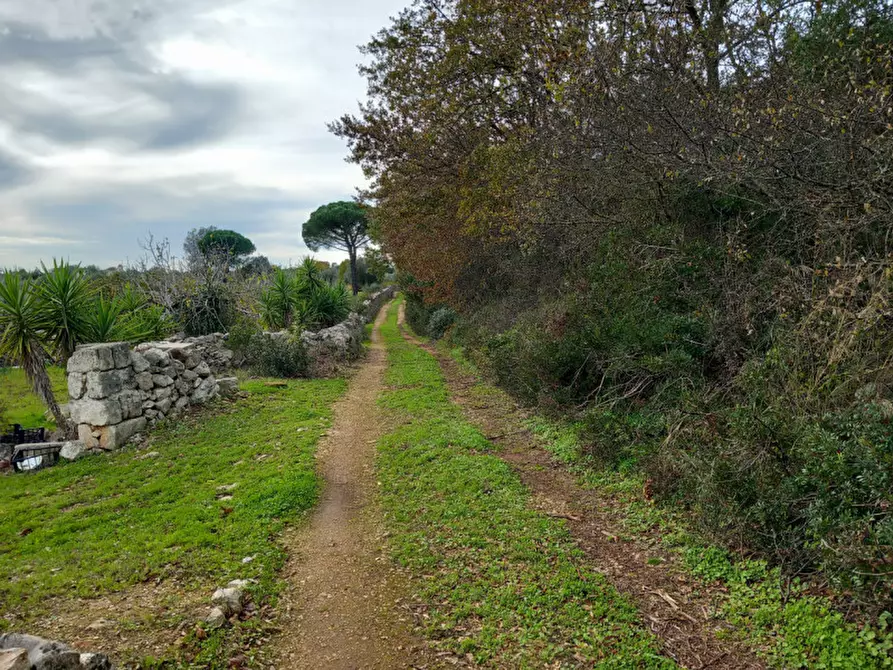 Immagine 24 di Rustico / casale in vendita  in C.da Le Monache a Ceglie Messapico