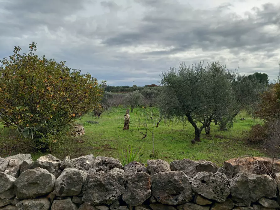Immagine 27 di Rustico / casale in vendita  in C.da Le Monache a Ceglie Messapico