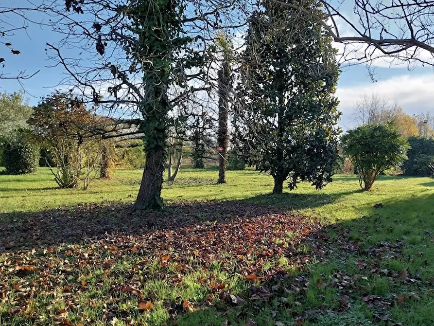 casa indipendente in vendita a Saonara