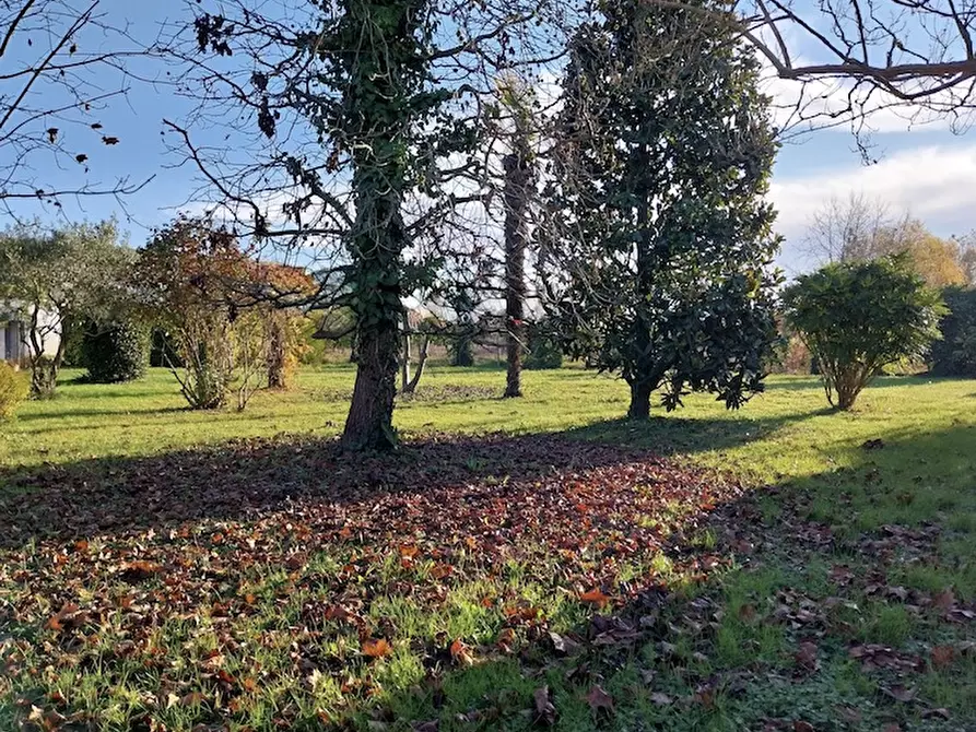 Immagine 2 di Terreno in vendita  a Saonara