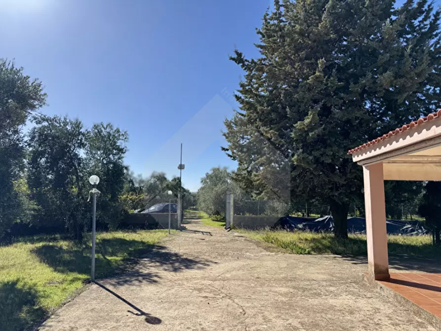 Immagine 2 di Villa in vendita  a Andria