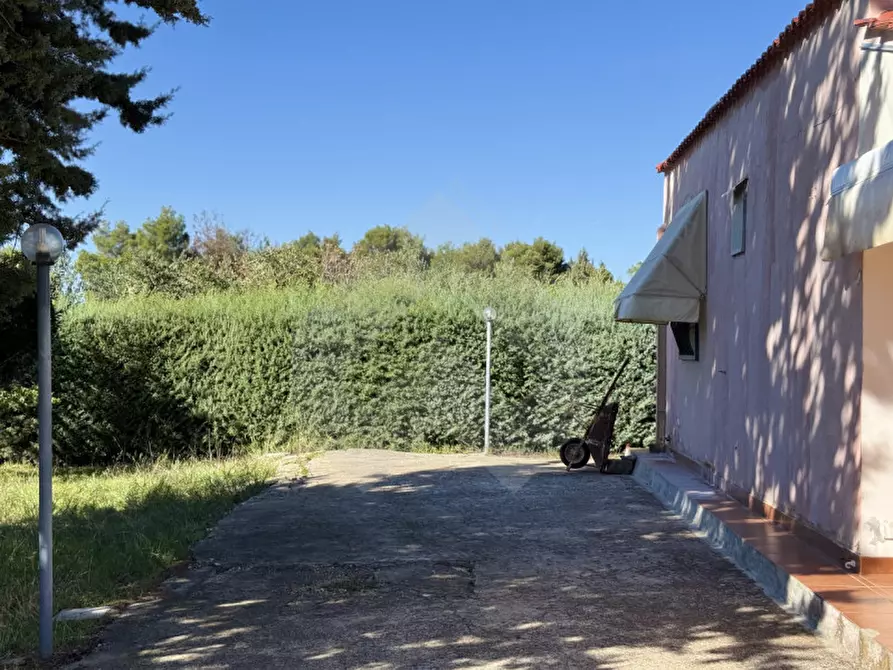 Immagine 4 di Villa in vendita  a Andria