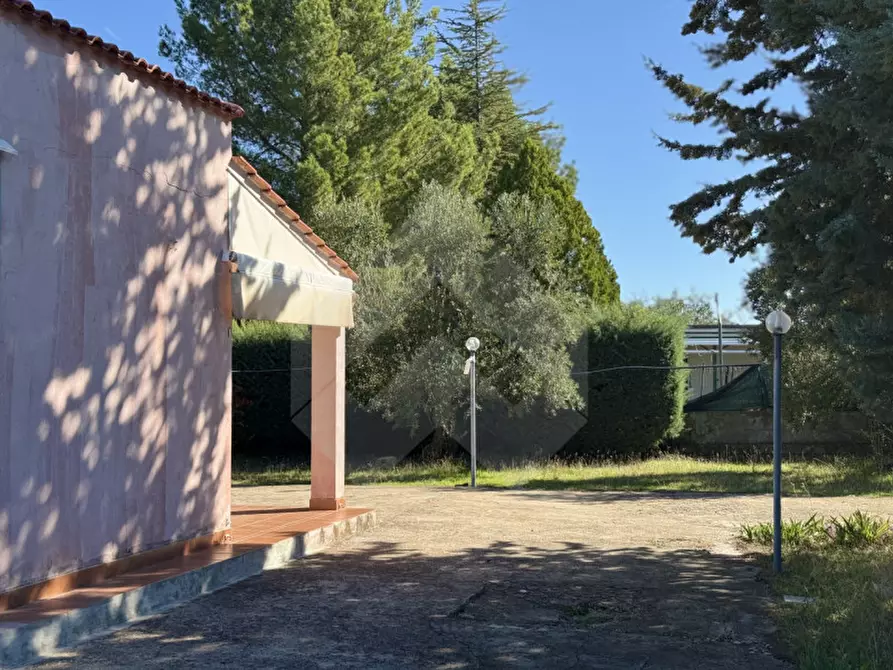 Immagine 5 di Villa in vendita  a Andria