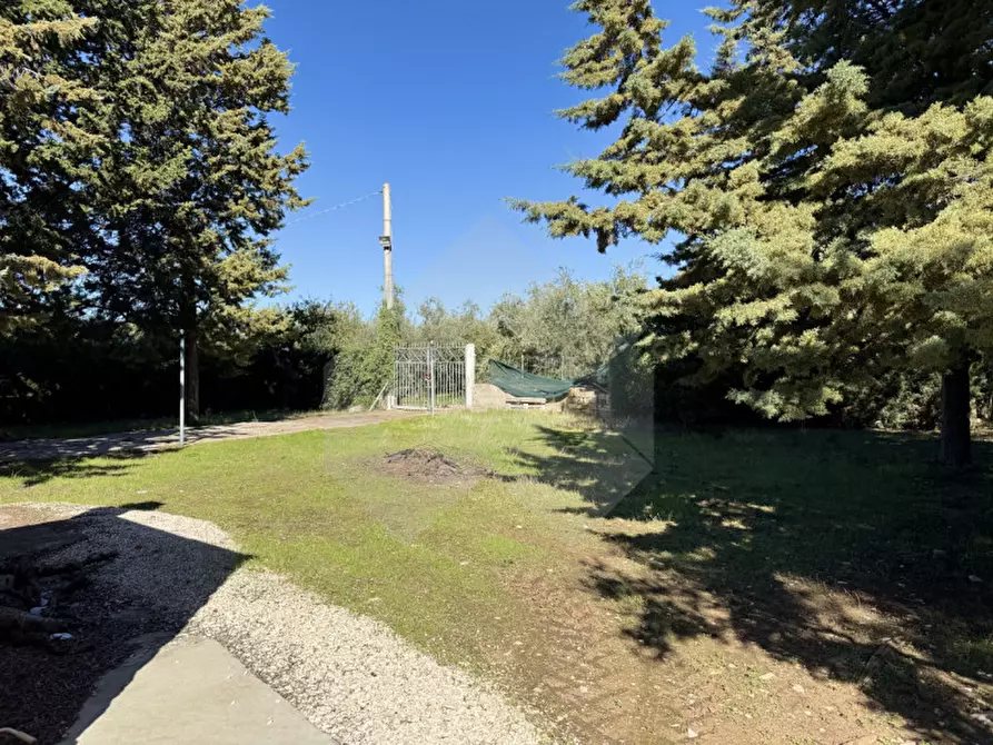 Immagine 6 di Villa in vendita  a Andria