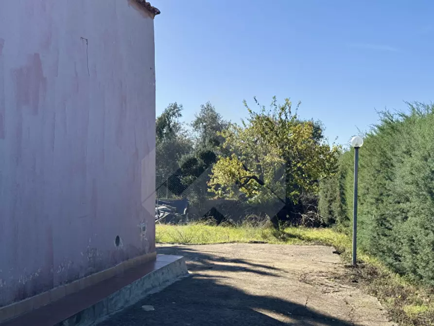 Immagine 8 di Villa in vendita  a Andria