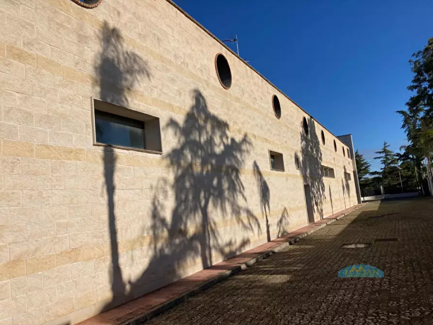 Immagine 38 di Magazzino in affitto  in Contrada Carlo di Noi Inferiore a Francavilla Fontana