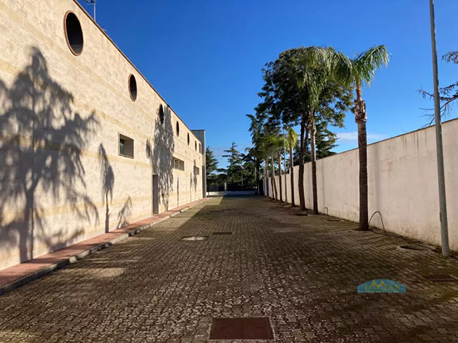 Immagine 41 di Magazzino in affitto  in Contrada Carlo di Noi Inferiore a Francavilla Fontana