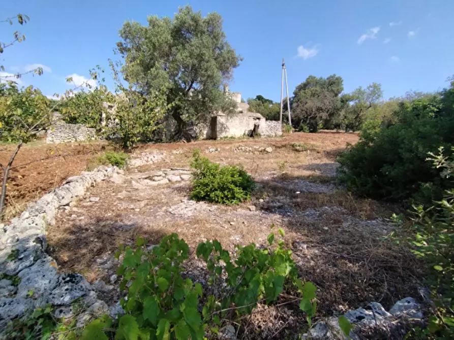 Immagine 4 di Rustico / casale in vendita  in C.da Lamia Nuova a Ceglie Messapico