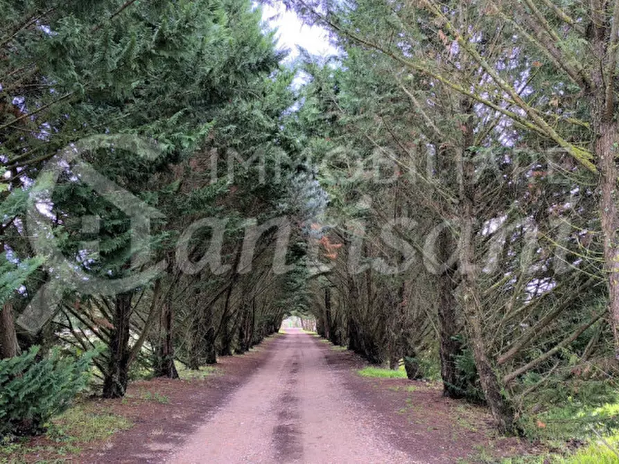 Immagine 8 di Appartamento in vendita  in Mattagnano a Vicchio