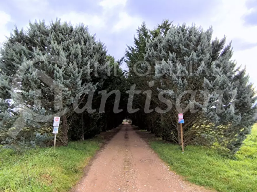 Immagine 37 di Appartamento in vendita  in Mattagnano a Vicchio