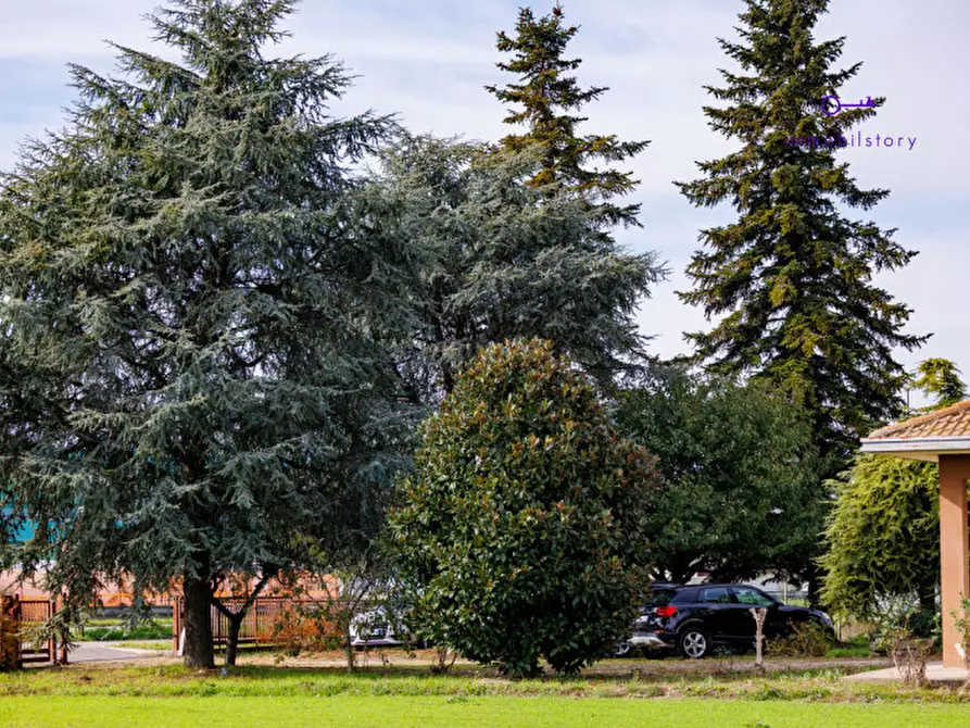 Immagine 23 di Casa indipendente in vendita  a Este