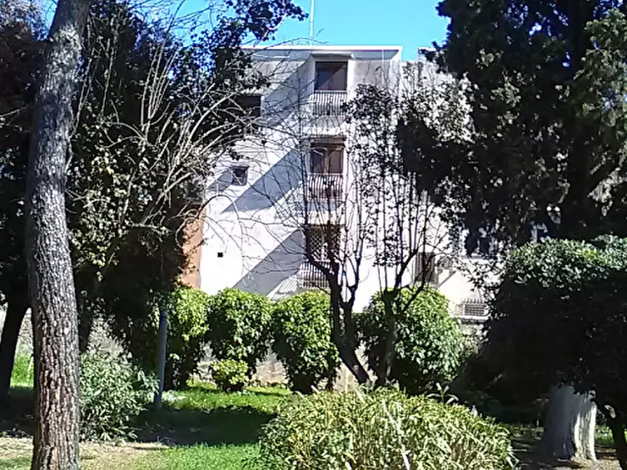 Immagine 5 di Palazzo in vendita  in via gorizia 42 a Barletta