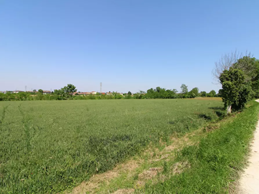 Immagine 1 di Terreno in vendita  in Via Palù Superiore a Pernumia