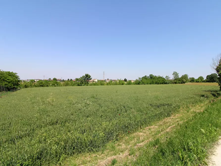 Immagine 2 di Terreno in vendita  in Via Palù Superiore a Pernumia