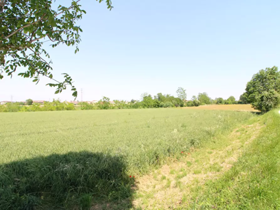 Immagine 3 di Terreno in vendita  in Via Palù Superiore a Pernumia