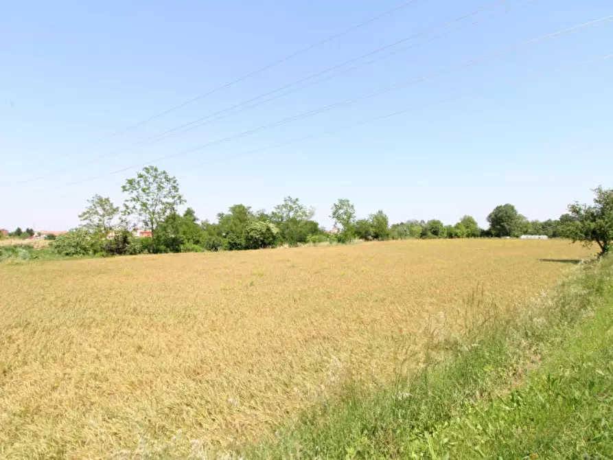 Immagine 5 di Terreno in vendita  in Via Palù Superiore a Pernumia