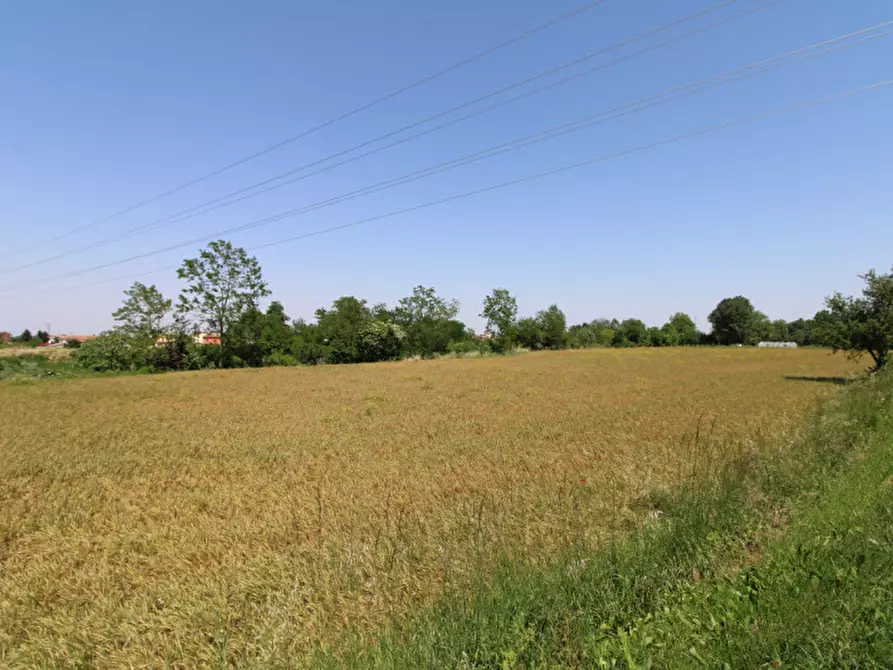 Immagine 6 di Terreno in vendita  in Via Palù Superiore a Pernumia